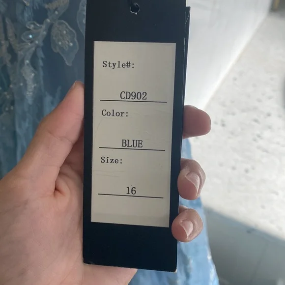 Blue Cinderella Dress - Picture 7 of 8